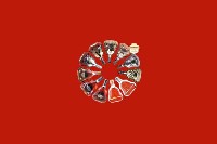 石家庄鹿泉回收红酒
